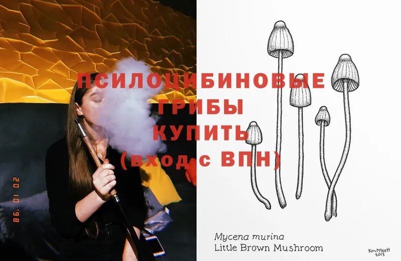 Галлюциногенные грибы Magic Shrooms  гидра   Тосно 